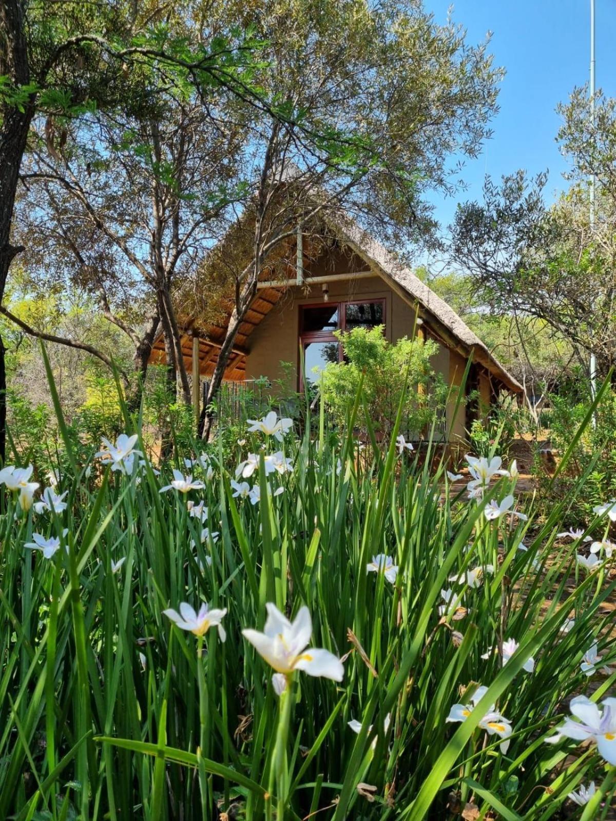 רסטנבורג Tidimalo Lodge מראה חיצוני תמונה
